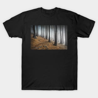 Misty spruce trees with a path T-Shirt